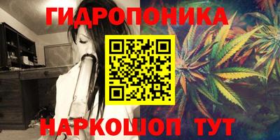 метадон Камышлов