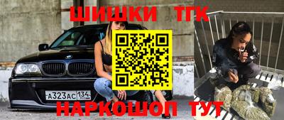 СК Кандалакша
