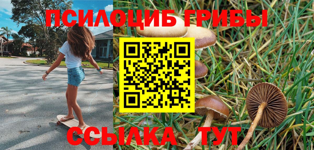 Краснодар  Галлюциногенные грибы Psilocybe  Вход с VPN  Псилоцибиновые грибы Cubensis 